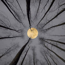 Load image into Gallery viewer, Magical Face Cream š