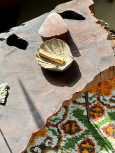 Ceramic Shell with Palo Santo