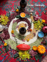 Load image into Gallery viewer, ~Aqua Terra Retreat~