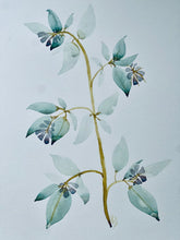 Load image into Gallery viewer, Botanical Tallow Cream